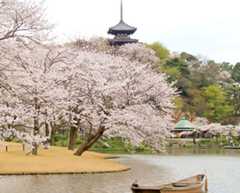 日本庭園