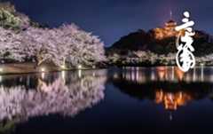 三溪園の写真