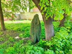A humanoid figure covered from head to toe in a shaggy green suit stands beside a tree trunk, amid low, bright-green foliage.