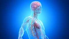 One in Three Dementia Cases Is Linked to Disease Outside The Brain