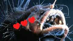 a close up of a terrifying female anglerfish, overlaid with a line of three red hearts