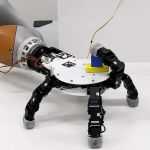 Main robotique réversible La main robotique de l'EPFL peut avoir jusqu'à six doigts, tous identiques et réversibles.