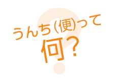 うんち（便）って何？