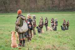 Kennel Club updates field trial rules to reduce bias