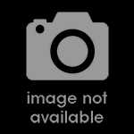 Kyoto Sangyo University