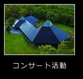 コンサート活動
