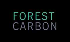 Forest Carbon