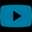 social icon