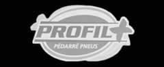 Logo PÉDARRÉ PNEUS