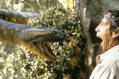 Jonathan Hyde in ANACONDA (1997).