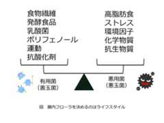 腸内フローラを決めるのはライフスタイル