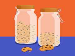 Illustration of two glass cookie jars on a shelf