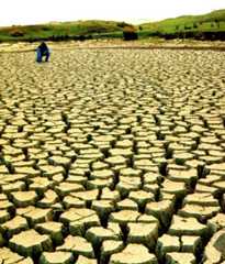 A pond in Ōhariu Valley, Wellington, during a drought