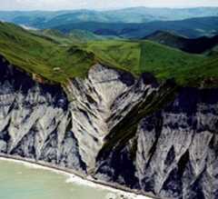 Cliffs near Cape Turnagain, formed of soft grey mudstone (papa rock)