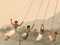 People swing on a moari