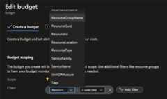 Screenshot of the Edit budget section with drop-down menu