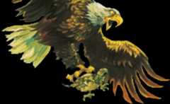 Eagle Illustration by Josh Kirby