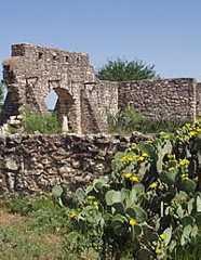 ruins of San Saba
