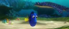 Finding Dory