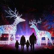 Christmas at Dunham Massey