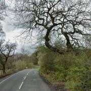 Man facing driving ban after causing head-on crash while on cannabis