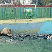 Thousands of pounds of damage has been caused after 'repeated' wheelie bin fires