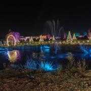 Trees twinkle in the run-up to Christmas