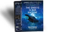 Purchase The Ghosts In Our Machine DVD