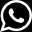 watsapp_icon