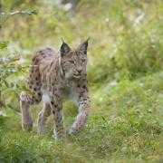 Dozens of events in Highland and Moray will offer information and gather local views