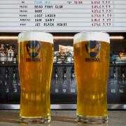 Two pints of BrewDog in a BrewDog Bar