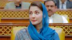 US lawmakers laud Punjab govt's initiative to modernise brick-kiln