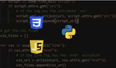 How to Extract Script and CSS Files from Web Pages in Python