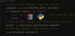 How to Create a Reverse Shell in Python
