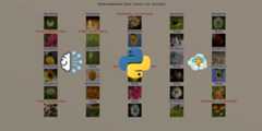 How to Use Transfer Learning for Image Classification using TensorFlow in Python