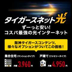タイガースネット光 ずーっと安い！コスパ最強の光インターネット