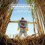 Details Rudimental feat: Jess Glynne & Macklemore & Dan Caplen - These days