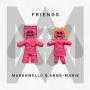Details Marshmello & Anne-Marie - Friends