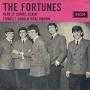 Details The Fortunes - Here It Comes Again