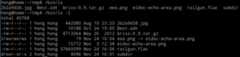 Output of ls before configuration