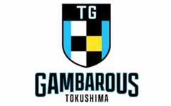 B3徳島ガンバロウズ、東京Uに２連勝