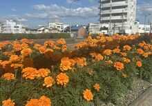 【徳島めくり】(28日)剣山で初氷と初霧氷 / (29日) ｢Francfranc｣ がオープン