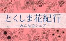 【投稿募集中！】徳島県内の花・紅葉の見頃をみんなでシェア