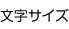 文字サイズ
