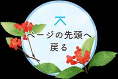 ページの先頭へ戻る