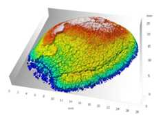 Surface Topology and Surface Analysis Services