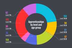 The image is a pie chart. The chart reads 'Apprenticeships by level and age group', '82 Level 2 19+', '183 Level 3 19+', '30 Level 4 19+', '70 Level 5 19+', '104 Level 6 19+', '164 Level 2 16-18', '84 Level 3 16-18', '01 Level 5 16-18' and '02 Level 6 16-18'.