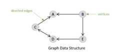 Directed Graph