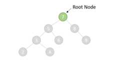 root node
