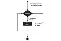 while loop